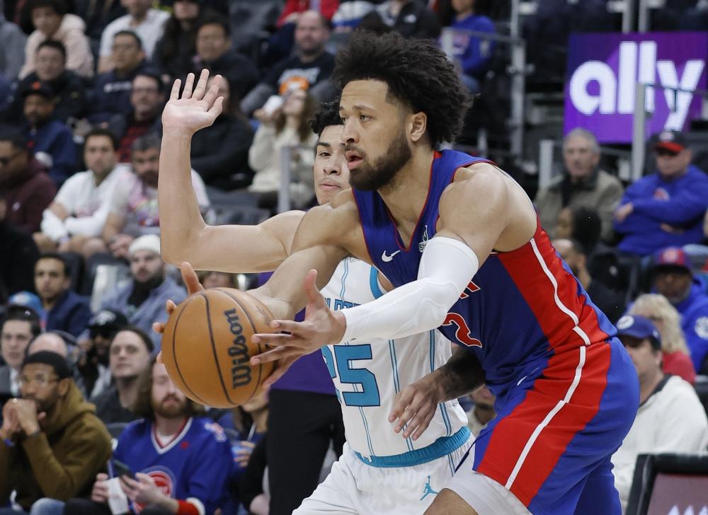 它不仅展示 它不仅展示